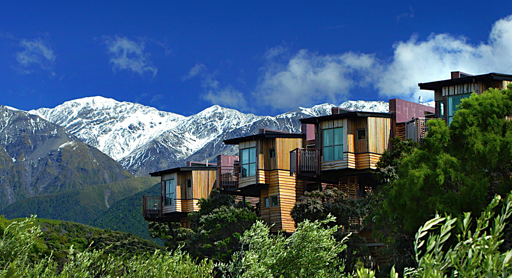 Hapuku Lodge and Treehouses