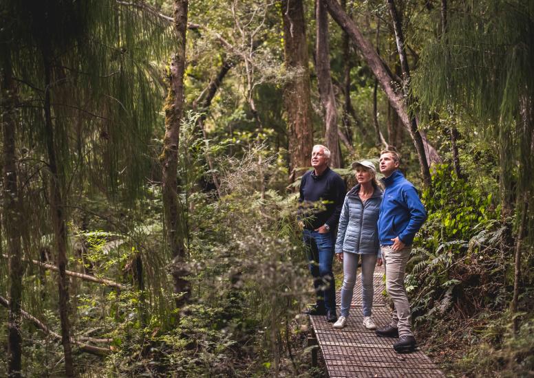 Alpine Dusky BushWalk